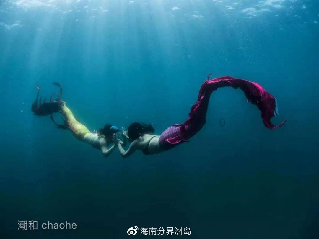 cdr做的东西都在 但是显示空白